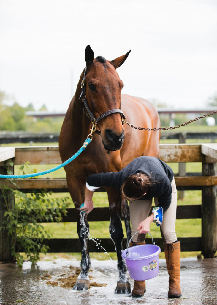 Bathing with Tenda Shampoo from FarmVet at Brownland Farms 